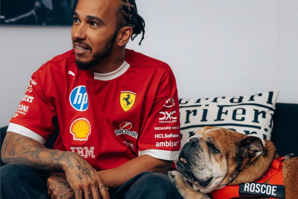 Lewis Hamilton, Ferrari with Roscoe