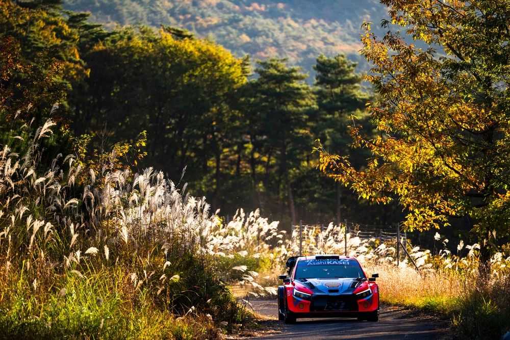 Thierry Neuville, Martijn Wydaeghe, Hyundai World Rally Team Hyundai i20 N Rally1