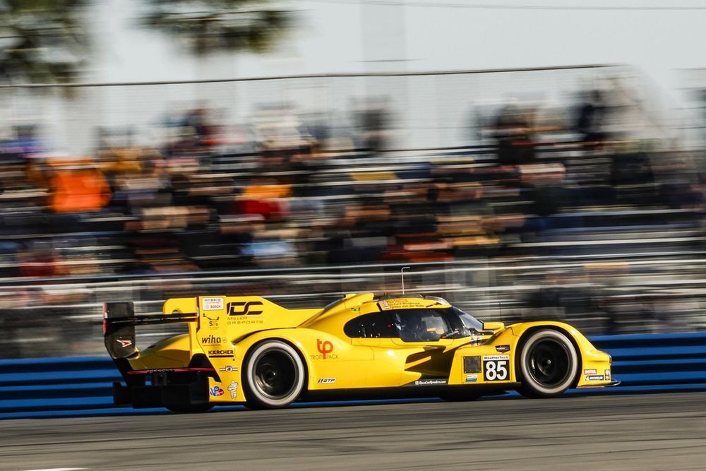 Pascal Wehrlein, JDC-Miller Motorsports, Porsche 963 LMDh